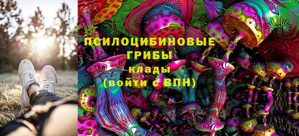 марки nbome Лиски