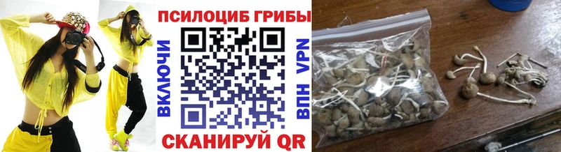 Галлюциногенные грибы мухоморы  Купить закладки  Лыткарино 
